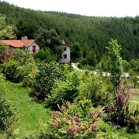 Kilim Yaka Village Villa Kayacık