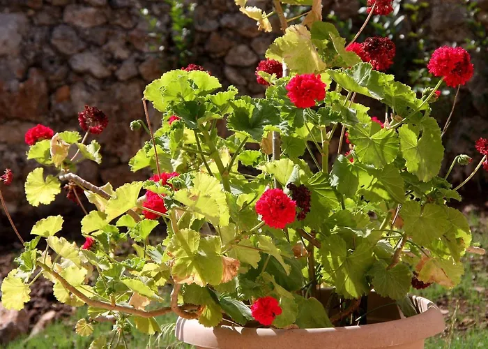 Willa Kilim Yaka Village *