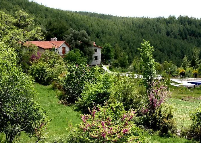 Kilim Yaka Village Willa Kayacık